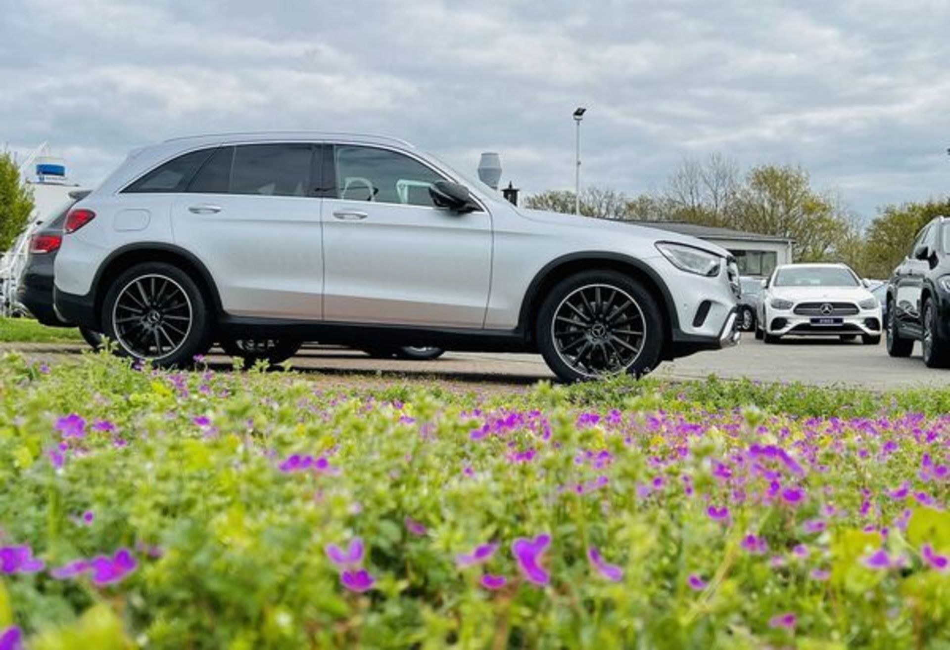 Mercedes, davor eine beblümte Wiese